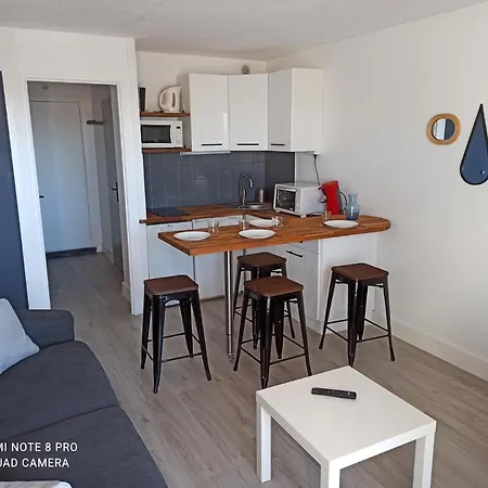 Lejlighed Avec Terrasse, Vue Sur Le Port, Entre Et Port, Avec Parking Agde