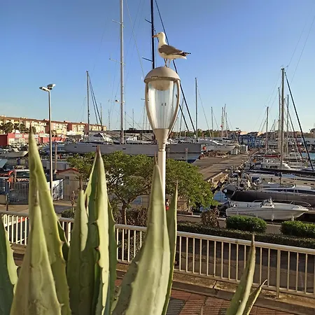 Avec Terrasse, Vue Sur Le Port, Entre Et Port, Avec Parking Lejlighed *